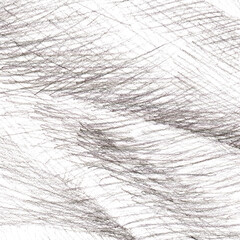 Line pencil on white paper. Abstract background and texture.