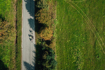 Aerial view on road cyclists, group of cyclists on country roads on a sunny day
