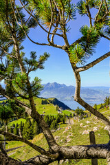 Rigi, Rigi Kulm, Pilatus, Rigi Staffel, Rigi Staffelhöhe, Vierwaldstättersee, Bergbahn, Wanderweg, Aussichtspunkt, Sommer, Zentralschweiz, Schweiz
