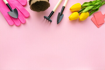 Obraz na płótnie Canvas Gardening tools, gloves and tulips on pink background, space for text