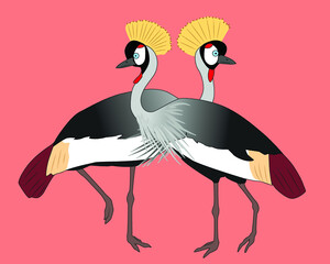 Two dstanding grey crowned cranes, vector illustration