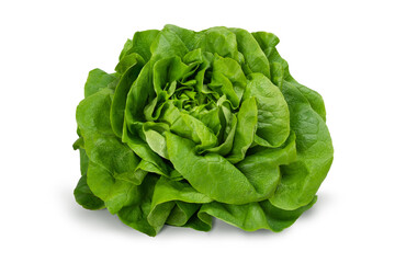 Juicy leaves of lettuce isolated on white background. Fresh lolo salad.