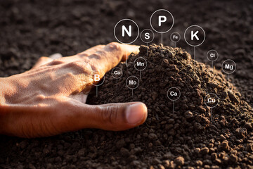 The fertile loamy soil for planting with the iconic technology in soil is the essential food of...