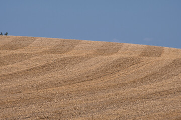 Getreidefeld nach der Ernte