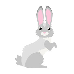 Fototapeta na wymiar Cute rabbit in cartoon flat style. Isolated vector.