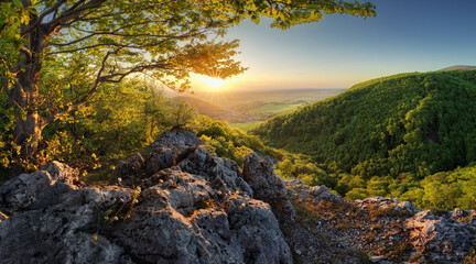 Mountain forest panorama at sunset - Slovakia - obrazy, fototapety, plakaty