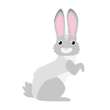 Cute rabbit in cartoon flat style. Isolated vector.