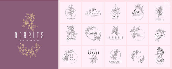 Different berries floral logo set. Hand drawn line wedding herb, elegant leaves for invitation save the date card. Botanical rustic trendy greenery vector set