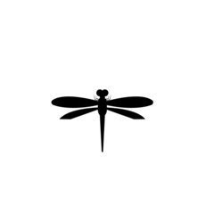 Dragonfly illustration icon design template vector