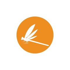 Dragonfly illustration icon design template vector