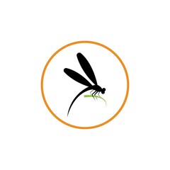 Dragonfly illustration icon design template vector