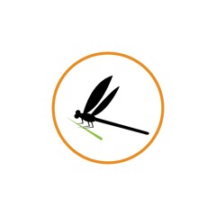 Dragonfly illustration icon design template vector