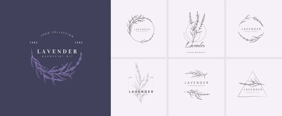 Set of Lavender logo and branch. Hand drawn wedding herb, plant and monogram with elegant leaves for invitation save the date card design. Botanical - obrazy, fototapety, plakaty