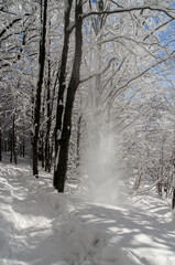 Obraz premium Zima w Bieszczadach 