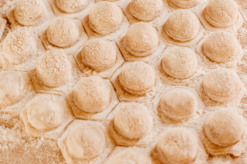 Making homemade dumpling dough. The rolling pin rolls out dough, flour and a mold for dumplings or ravioli. Home cooking food. National cuisine