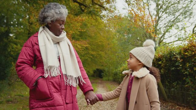 Smiling grandmother holding hands with granddaughter walking through autumn countryside together - shot in slow motion