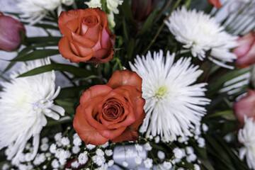 Bright red rose