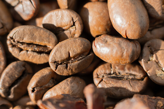 Macro bean coffee on the coffee beans background. Studio shot. Strong black espresso beans. Roasted Coffee beans background.