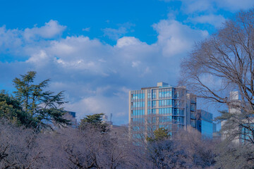 東京都新宿区にある大きな公園から見た都市景観