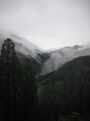 山林と霧 2