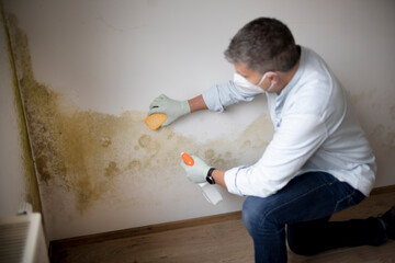 Man with protective mask tries to remove mold on wall with sponge and cleaning agent - obrazy, fototapety, plakaty