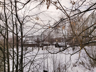 bare tree branches against the winter sky