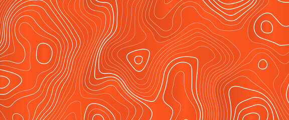 Abstract stylized topographic contour elevation in lines and contours, the concept map of a conditional geography scheme and the terrain path, vector illustration of topographic line contour map,