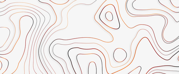 Abstract stylized topographic contour elevation in lines and contours, the concept map of a conditional geography scheme and the terrain path, vector illustration of topographic line contour map,