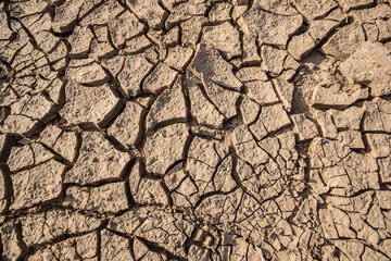 The ground is cracked like a jigsaw.