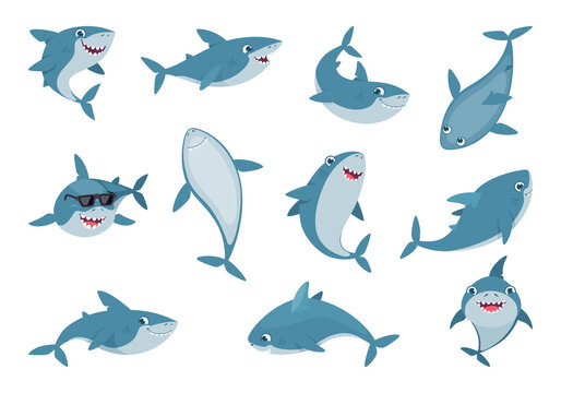 Ocean shark. Cute wild swimming smiling sharks with big white teeth exact vector cartoon illustrations set