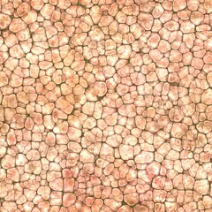 Cartoon seamless texture color fantasy cobble stone ground pavement with grass