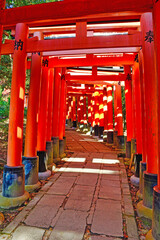 京都 伏見稲荷大社　美しい朱色の鳥居　（日本京都府京都市） Kyoto Fushimi Inari Taisha Shrine famous for beautiful vermilion torii gates (Kyoto City, Kyoto Prefecture, Japan) 