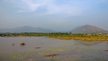 A pond against the background of palm plantations and mountains.