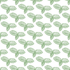 Seamless vector pattern with mint leaves on a white background. Vector illustration