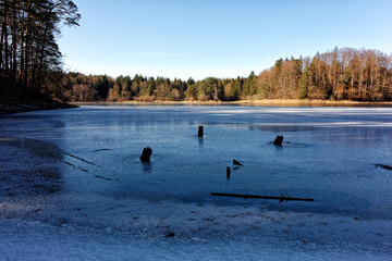 Ein See im Wald teilweise mit Eis bedeckt, Winter, Bayern, Deutschland, Europa