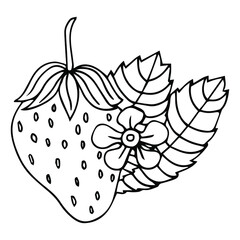 Garden strawberry. doodle fruit or strawberries. Isolated on white background. Fresh strawberry Sweet fruit. Whole strawberry.
