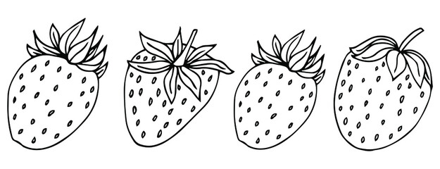 Garden strawberry. doodle fruit or strawberries. Isolated on white background. Fresh strawberry Sweet fruit. Whole strawberry.