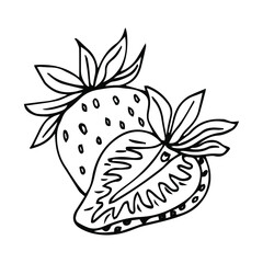 Garden strawberry. doodle fruit or strawberries. Isolated on white background. Fresh strawberry Sweet fruit. Whole strawberry.