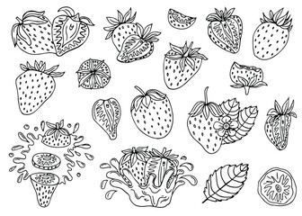 Hand drawn strawberry with leaves and flowers set. Outline black and white vector illustration. Doodle plants and sweet berries isolated on white background