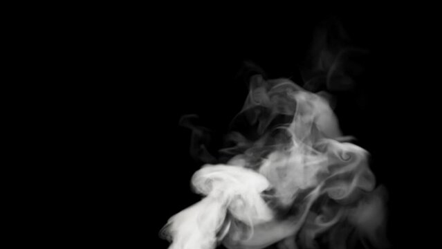 A jet of dense white smoke rises against a black background and quickly disappears.