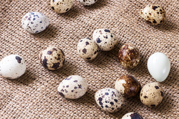 tasty healthy quail eggs