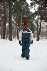 Fototapeta na wymiar Boy in winter jumpsuit walks in woods in snow. Back view. Winter holidays in spruce forest.