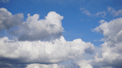 Naklejka na ściany i meble Cumulus (Cu), chmura kłębiasta – oddzielna, nieprzezroczysta, zwykle biała chmura złożona z kropel wody. Jej górna część (z wyjątkiem gatunku Cumulus fractus) ma kształt kopulasty lub kalafiorowaty. 