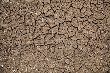 cracked earth texture