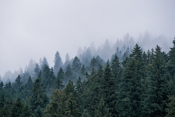 Misty mountain landscape