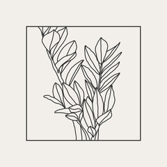 Minimalist botanical line art compositions with leaves abstract collage