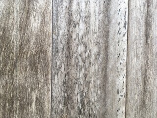 Fototapeta premium old wood texture