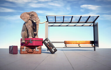 Elephant sits on lugagges at bus station.