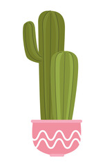 houseplant cactu in pink pot