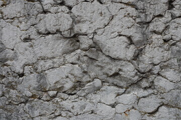 stone texture 2